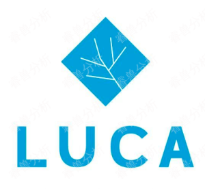 Luca Healthcare