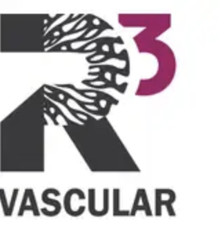 R3 Vascular Inc.