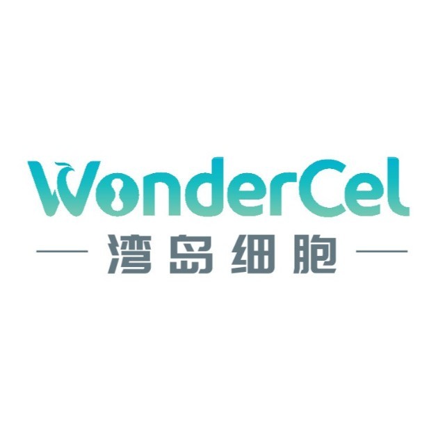 湾岛细胞